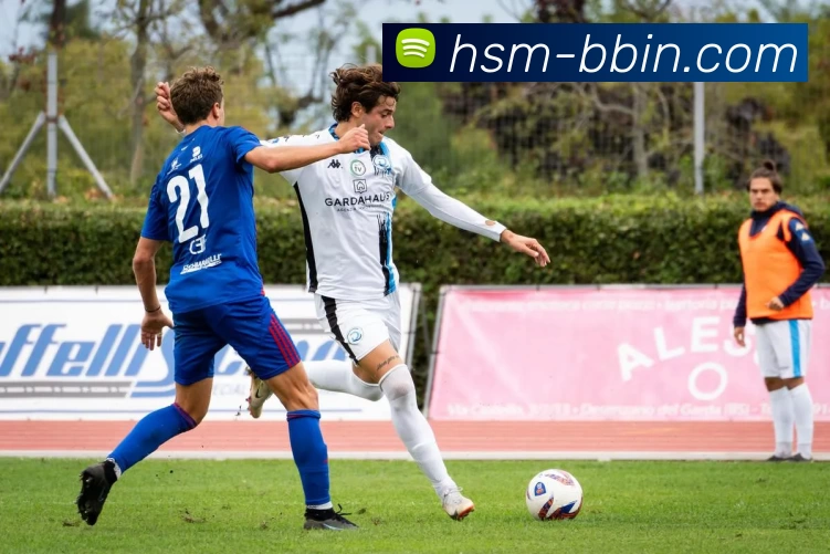 bbin体育平台服务体系